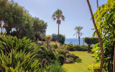 Vivre à Estepona : un paradis sur la Costa del Sol